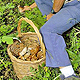 FUNGHI: MEGLIO NON RISCHIARE