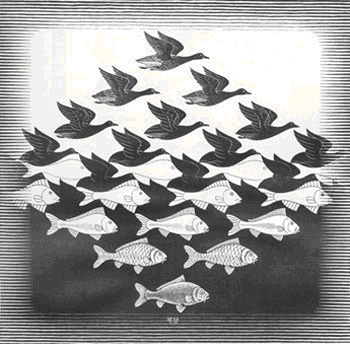 Escher - Cielo a acqua